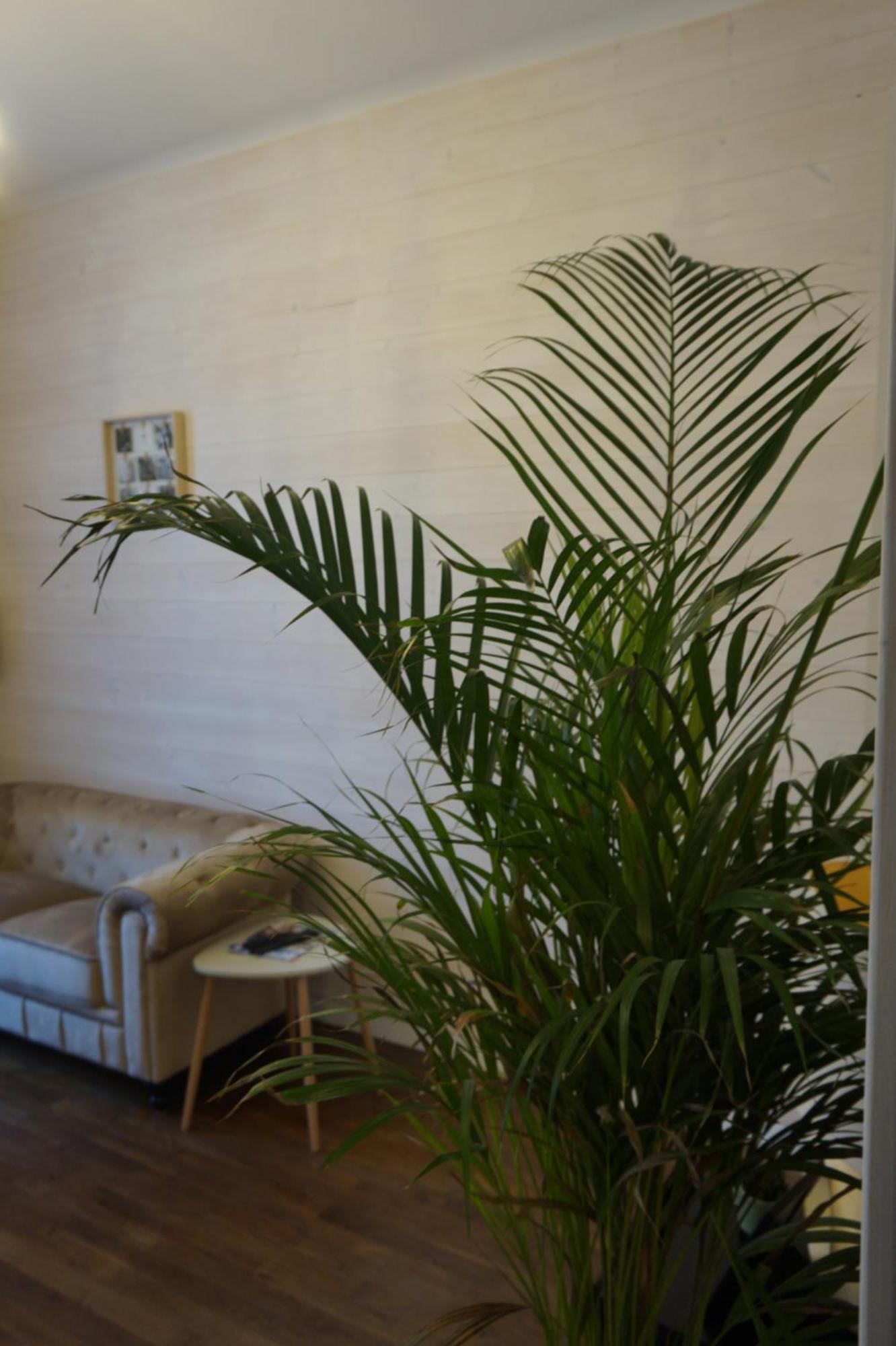 L'Experience Appartement & Spa Prive Chambéry Extérieur photo